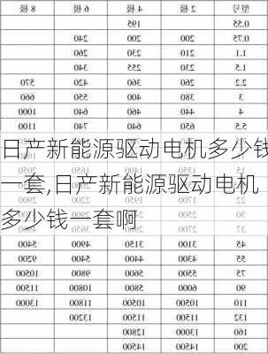 日产新能源驱动电机多少钱一套,日产新能源驱动电机多少钱一套啊-第3张图片-苏希特新能源