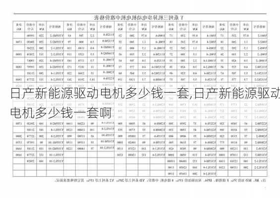 日产新能源驱动电机多少钱一套,日产新能源驱动电机多少钱一套啊-第2张图片-苏希特新能源