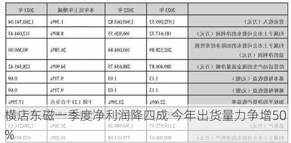 横店东磁一季度净利润降四成 今年出货量力争增50%-第3张图片-苏希特新能源