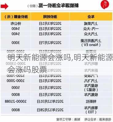 明天新能源会涨吗,明天新能源会涨吗股票-第1张图片-苏希特新能源