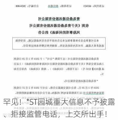 罕见！*ST园城重大信息不予披露、拒接监管电话，上交所出手！-第3张图片-苏希特新能源