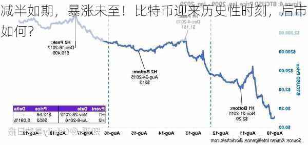减半如期，暴涨未至！比特币迎来历史性时刻，后市如何？-第2张图片-苏希特新能源