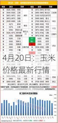 4月20日：玉米价格最新行情-第3张图片-苏希特新能源