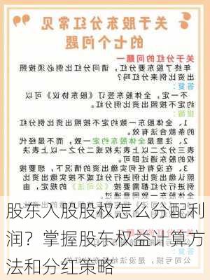 股东入股股权怎么分配利润？掌握股东权益计算方法和分红策略-第3张图片-苏希特新能源