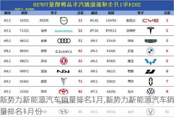 新势力新能源汽车销量排名1月,新势力新能源汽车销量排名1月份-第1张图片-苏希特新能源