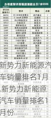 新势力新能源汽车销量排名1月,新势力新能源汽车销量排名1月份-第3张图片-苏希特新能源