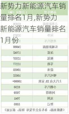 新势力新能源汽车销量排名1月,新势力新能源汽车销量排名1月份-第2张图片-苏希特新能源