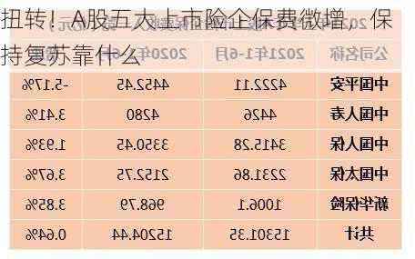 扭转！A股五大上市险企保费微增，保持复苏靠什么-第1张图片-苏希特新能源