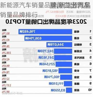 新能源汽车销量品牌,新能源汽车销量品牌排行-第2张图片-苏希特新能源