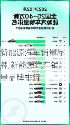 新能源汽车销量品牌,新能源汽车销量品牌排行-第3张图片-苏希特新能源