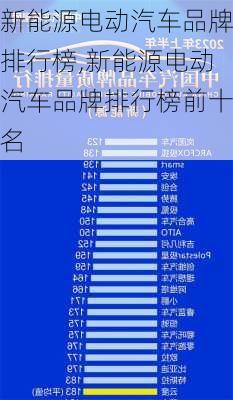 新能源电动汽车品牌排行榜,新能源电动汽车品牌排行榜前十名-第3张图片-苏希特新能源