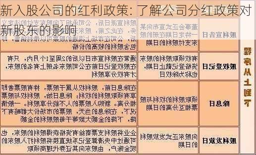 新入股公司的红利政策: 了解公司分红政策对新股东的影响-第3张图片-苏希特新能源