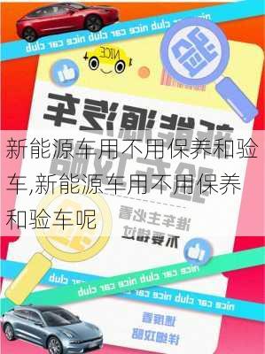 新能源车用不用保养和验车,新能源车用不用保养和验车呢-第2张图片-苏希特新能源