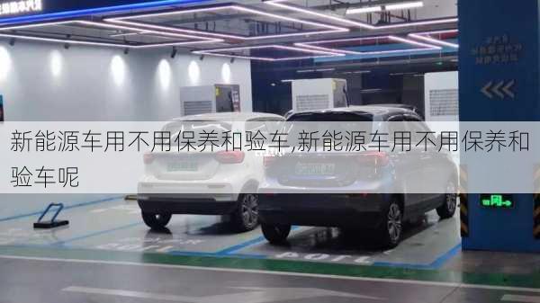 新能源车用不用保养和验车,新能源车用不用保养和验车呢-第3张图片-苏希特新能源