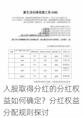 入股取得分红的分红权益如何确定？分红权益分配规则探讨-第2张图片-苏希特新能源