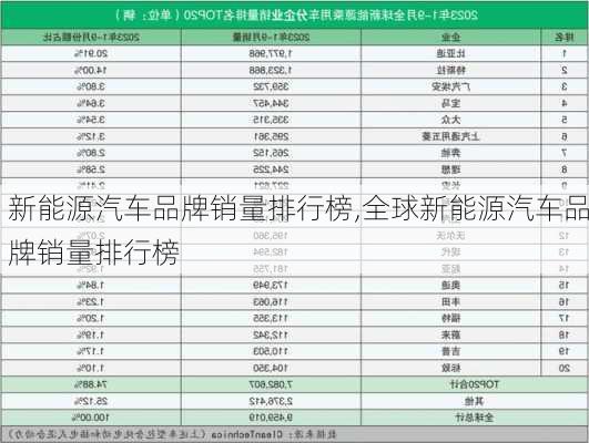 新能源汽车品牌销量排行榜,全球新能源汽车品牌销量排行榜-第2张图片-苏希特新能源