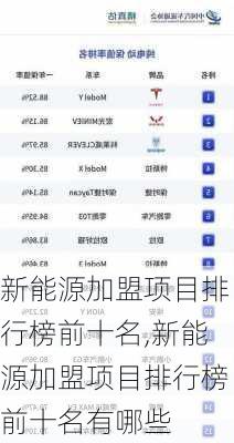 新能源加盟项目排行榜前十名,新能源加盟项目排行榜前十名有哪些-第2张图片-苏希特新能源