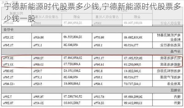 宁德新能源时代股票多少钱,宁德新能源时代股票多少钱一股-第1张图片-苏希特新能源