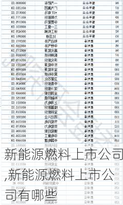 新能源燃料上市公司,新能源燃料上市公司有哪些-第3张图片-苏希特新能源