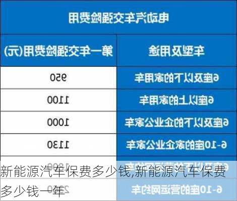 新能源汽车保费多少钱,新能源汽车保费多少钱一年-第1张图片-苏希特新能源