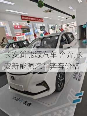 长安新能源汽车 奔奔,长安新能源汽车奔奔价格-第3张图片-苏希特新能源