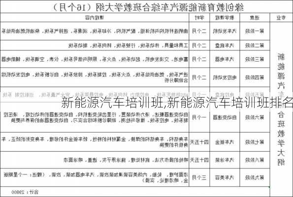 新能源汽车培训班,新能源汽车培训班排名-第2张图片-苏希特新能源