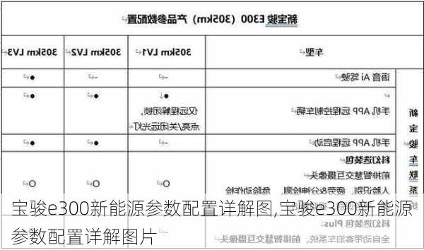 宝骏e300新能源参数配置详解图,宝骏e300新能源参数配置详解图片