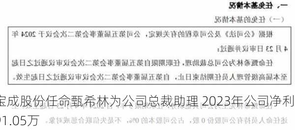 宝成股份任命甄希林为公司总裁助理 2023年公司净利391.05万-第1张图片-苏希特新能源