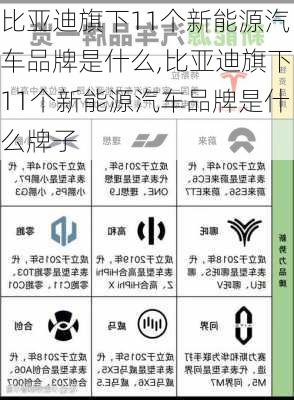 比亚迪旗下11个新能源汽车品牌是什么,比亚迪旗下11个新能源汽车品牌是什么牌子-第2张图片-苏希特新能源