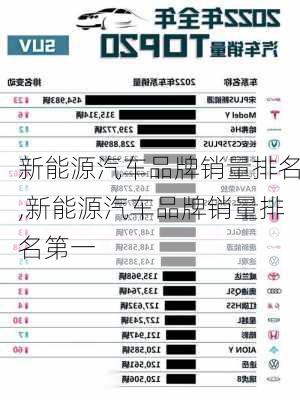 新能源汽车品牌销量排名,新能源汽车品牌销量排名第一-第2张图片-苏希特新能源