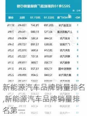 新能源汽车品牌销量排名,新能源汽车品牌销量排名第一-第3张图片-苏希特新能源