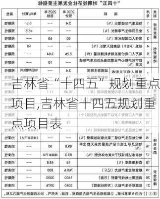 吉林省“十四五”规划重点项目,吉林省十四五规划重点项目表-第1张图片-苏希特新能源