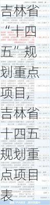 吉林省“十四五”规划重点项目,吉林省十四五规划重点项目表-第2张图片-苏希特新能源