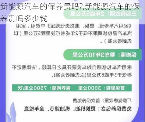 新能源汽车的保养贵吗?,新能源汽车的保养贵吗多少钱-第2张图片-苏希特新能源