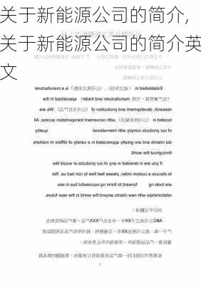 关于新能源公司的简介,关于新能源公司的简介英文