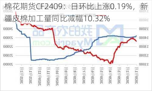 棉花期货CF2409：日环比上涨0.19%，新疆皮棉加工量同比减幅10.32%-第2张图片-苏希特新能源