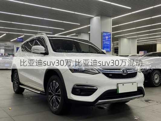 比亚迪suv30万,比亚迪suv30万混动-第2张图片-苏希特新能源