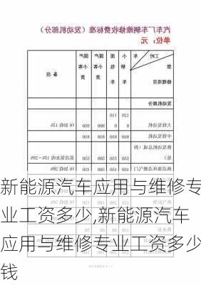 新能源汽车应用与维修专业工资多少,新能源汽车应用与维修专业工资多少钱-第1张图片-苏希特新能源