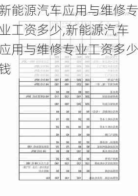 新能源汽车应用与维修专业工资多少,新能源汽车应用与维修专业工资多少钱-第2张图片-苏希特新能源