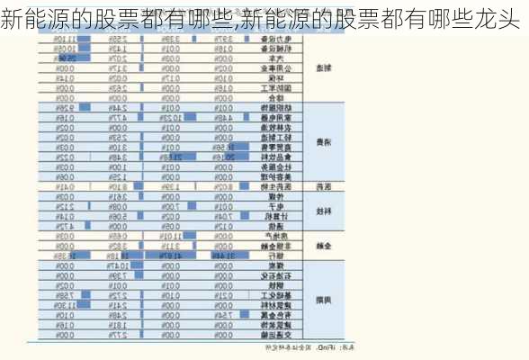 新能源的股票都有哪些,新能源的股票都有哪些龙头-第1张图片-苏希特新能源