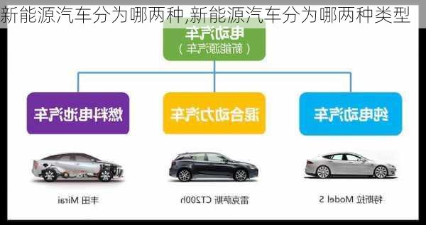 新能源汽车分为哪两种,新能源汽车分为哪两种类型-第2张图片-苏希特新能源