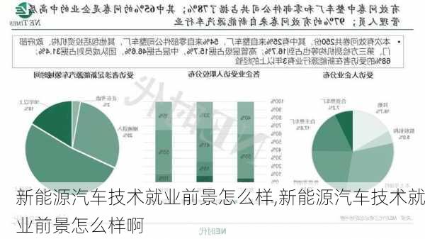 新能源汽车技术就业前景怎么样,新能源汽车技术就业前景怎么样啊-第3张图片-苏希特新能源