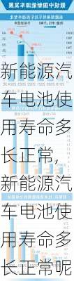 新能源汽车电池使用寿命多长正常,新能源汽车电池使用寿命多长正常呢-第1张图片-苏希特新能源