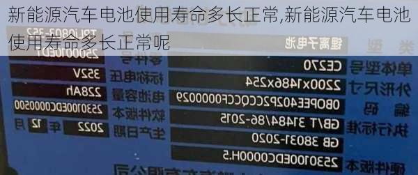 新能源汽车电池使用寿命多长正常,新能源汽车电池使用寿命多长正常呢-第2张图片-苏希特新能源