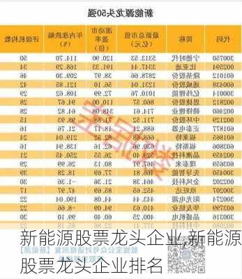 新能源股票龙头企业,新能源股票龙头企业排名-第1张图片-苏希特新能源