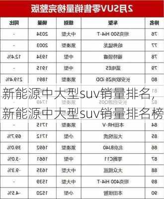 新能源中大型suv销量排名,新能源中大型suv销量排名榜-第1张图片-苏希特新能源