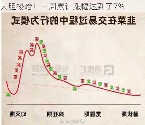 大胆梭哈！一周累计涨幅达到了7%-第1张图片-苏希特新能源