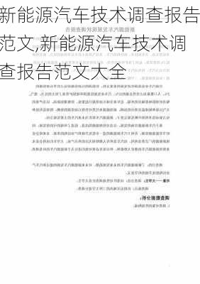 新能源汽车技术调查报告范文,新能源汽车技术调查报告范文大全-第3张图片-苏希特新能源