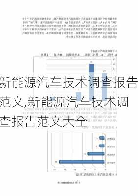 新能源汽车技术调查报告范文,新能源汽车技术调查报告范文大全-第2张图片-苏希特新能源