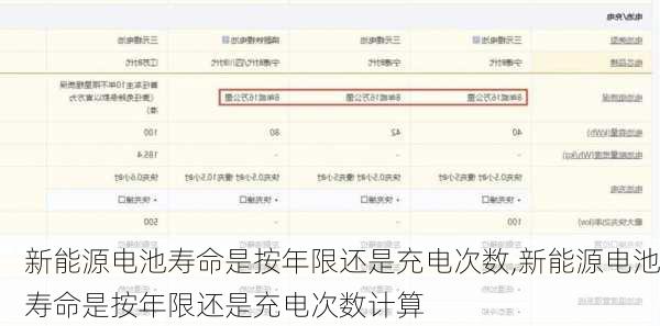 新能源电池寿命是按年限还是充电次数,新能源电池寿命是按年限还是充电次数计算-第3张图片-苏希特新能源